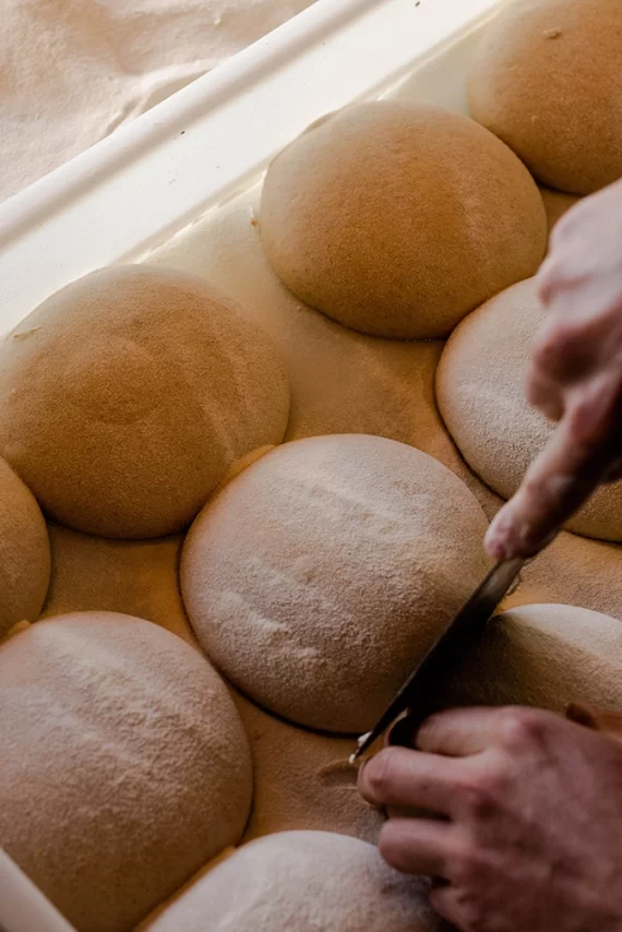 Ruocco's Pizzeria E Ristorante - DZuks - April 2023 - (79) copy